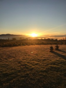 Sunrise at the farm